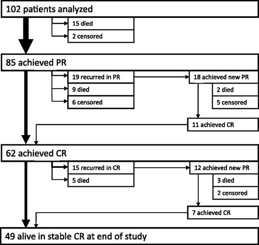 Figure 2. Pathways to complete remission. Arrows are proportional to patient numbers.