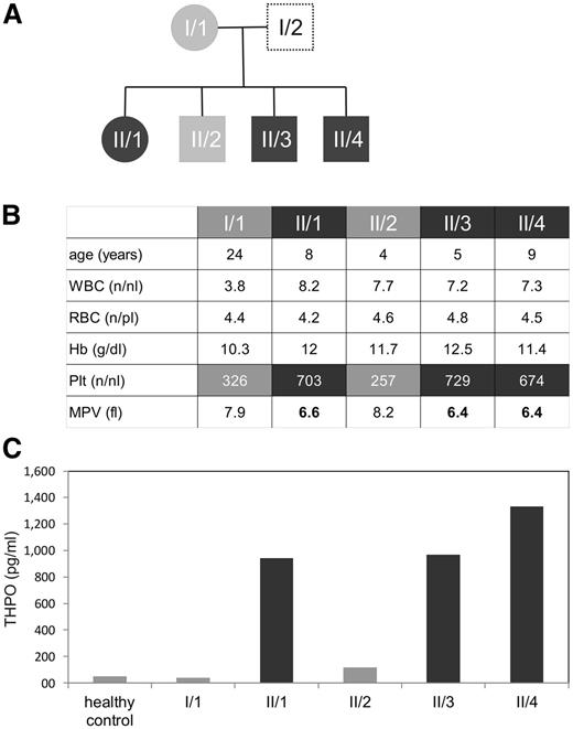 Figure 1. Affected family members show elevated platelet counts, decreased platelet volume, and highly elevated THPO serum levels. (A) Family tree of the described patients. (B) Table showing age, complete blood counts white blood cells (WBC) (numbers per nanoliter), red blood cells (RBC) (numbers per picoliter), hemoglobin (Hb) (g/dL), platelet count (Plt), and mean platelet volume (MPV) (in fl) of the consanguineous family with HT. The numbers represent a single measurement, but are representative of serial blood test over several months. (C) Serum thrombopoietin levels of a healthy control and members of the described family were measured in pg/mL in serum using a THPO enzyme-linked immunosorbent assay, as described in “Materials and methods.”