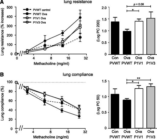 Figure 7. P1V1 and P1V3 mice are protected from impairments in lung function in Ova-induced allergy. P1V1 and P1V3 mice are protected from methacholine-induced increase in lung resistance (A) and loss of lung compliance (B) during Ova-induced lung allergy. Lung allergy was induced with Ova or mock-induced in P1V1, P1V3, and PVWT mice as in Figure 6, and lung function was assessed by challenge with rising concentrations of methacholine, measuring lung resistance (A) and compliance (B). Bar graphs show the dose of methacholine required to increase lung resistance by 200% over basal (A) or to reduce lung compliance by 50% compared with basal (B). Data are mean ± SEM of n = 4 to 6 mice/group; statistics are 1-way ANOVA with Bonferroni multiple comparisons test between Ova-sensitized groups.