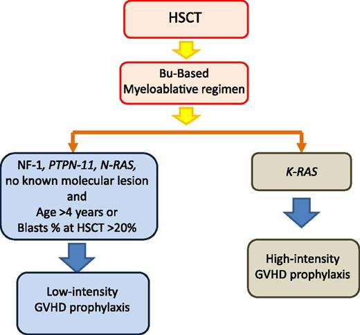 Figure 2. Tailoring of GVHD prophylaxis according to patient’s genetic lesions and other risk factors influencing the relapse rate. HSCT, hematopoietic stem cell transplantation; Bu, busulfan.