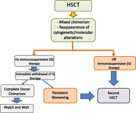 Figure 3. Algorithm for treatment of mixed chimerism and leukemia relapse in JMML in patients either still receiving or not receiving any immune-suppressive therapy. HSCT, hematopoietic stem cell transplantation.