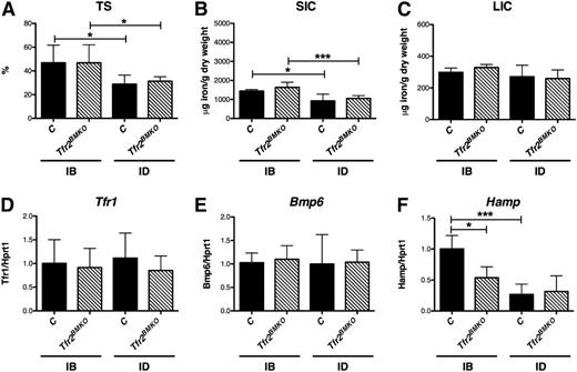 Figure 1. Iron parameters and hepatic genes expression of Tfr2BMKO mice. Iron parameters and hepatic gene expression were determined in mice 4 months after transplantation with a WT (controls) or a Tfr2−/− (Tfr2BMKO) BM. Three weeks before being sacrificed a group of mice was fed an ID or an IB diet. Graphed in the figure are: (A) TS; (B) splenic and (C) hepatic non-heme iron content (SIC and LIC); (D) liver messenger RNA (mRNA) expression of Tfr1, (E) bone morphogenetic protein 6 (Bmp6) and (F) Hepcidin (Hamp) relative to hypoxanthine phosphoribosyltransferase 1 (Hprt1). mRNA expression ratio was normalized to an IB control mean value of 1. Mean values of 3 to 8 animals for genotype (controls, Tfr2BMKO) and treatment (IB, ID) are graphed. Error bars indicate standard error. Asterisks refer to a statistically significant difference. *P < .05; ***P < .005. C, controls.