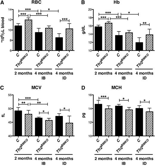 Figure 2. Hematological parameters of Tfr2BMKO mice. The hematological parameters of mice were analyzed 2 and 4 months after transplantation with a WT (controls) or a Tfr2−/− (Tfr2BMKO) BM. Mice were fed as in legend to Figure 1 (see text for details). In the figure are graphed: (A) RBC; (B) Hb; (C) mean corpuscular volume (MCV) and (D) mean corpuscular hemoglobin (MCH). Mean values of 6 to 15 animals for genotype (controls, Tfr2BMKO), time after BMT (2 or 4 months), and treatment (IB, ID) are graphed. Error bars indicate standard error. Asterisks refer to a statistically significant difference. *P < .05; **P < .01; ***P < .005.