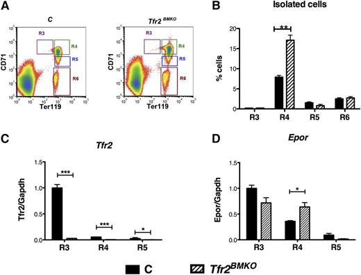 Figure 5. Analysis of Tfr2 and Epor in isolated erythroblasts. BM cells from control and Tfr2BMKO mice maintained with an IB diet were sorted as described in the text. (A) Gating strategy for freshly isolated bone marrow erythroid subsets: R3, R4, R5, and R6. Nucleated cells were selected and subsets gated based on Ter119 and CD71. (B) Flow cytometry analysis of BM cells stained with antibodies against Ter119 and CD71. Histograms show the percentage of cells in stage R3, R4, R5, and R6. The number of events is reported in supplemental Table 3. (C-D) mRNA expression of Tfr2 (C) and Epor (D) relative to Gapdh in the R3, R4, and R5 stages. mRNA expression ratio was normalized to the R3 control mean value of 1. mRNA expression ratio was normalized to the control mean value of 1. Mean values of 3 samples for genotype (controls, Tfr2BMKO) and stage (R3, R4, R5, R6) are graphed. Error bars indicate standard error. Asterisks refer to a statistically significant difference. *P < .05; ***P < .005.