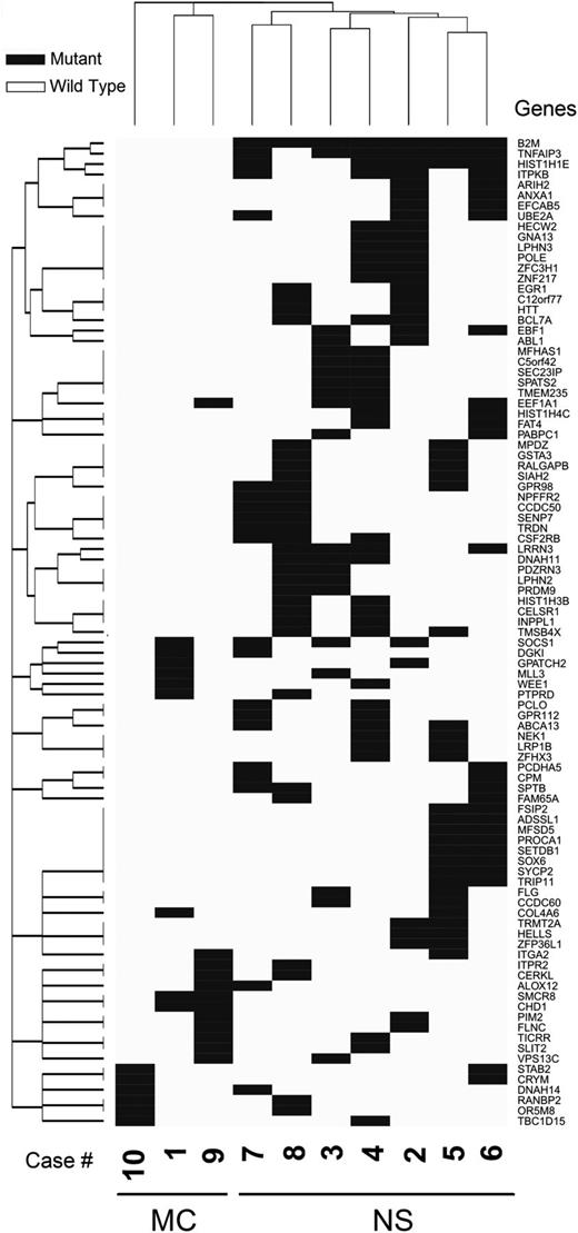Figure 3. SNP and indel analysis reveal recurrent alterations and subsets. Unsupervised clustering (asymmetric binary distance matrix and complete linkage hierarchical clustering) based on mutation status of the 104 genes that were mutated in at least 2 cases divides 10 sequenced cases of cHL into 2 molecular subgroups—one of which is exclusively wild-type for B2M; the other exclusively mutated for B2M.