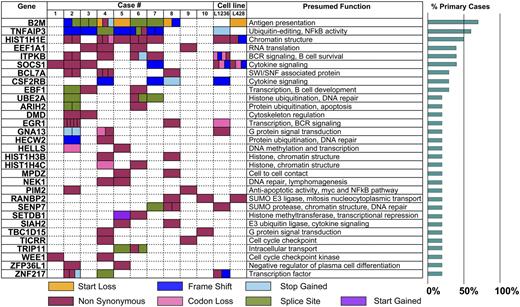 Recurrently mutated genes in cHL with potential pathogenic functions