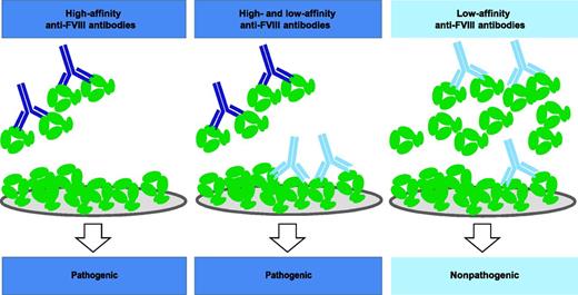 Competition-based ELISA discriminates between pathogenic high-affinity and nonpathogenic low-affinity anti-FVIII antibodies. High-affinity pathogenic antibodies (dark blue) interact with a low concentration of FVIII (green) in the fluid phase and therefore do not bind to FVIII insolubilized on a solid surface. On the contrary, low-affinity nonpathogenic antibodies (light blue) do not make complexes with a low concentration of FVIII in solution but bind to insolubilized FVIII, possibly because each antibody can interact with 2 FVIII molecules that are held in close proximity at the solid surface. High- and low-affinity antibodies bind to FVIII when it is present at a high concentration in solution. Only a fraction of low-affinity antibodies are then still available to interact with insolubilized FVIII. High-affinity antibodies are found only in hemophilia A patients treated with FVIII concentrates who develop FVIII inhibitors or in patients with acquired hemophilia A. The low-affinity anti-FVIII antibodies are found in hemophilia A patients with a normal response to FVIII concentrates and in healthy controls.