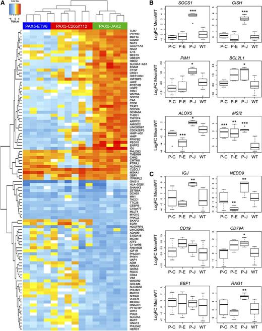 Figure 4. Gene expression profile of PAX5-JAK2+ patients. (A) Heatmap showing the 50 most up-/downregulated genes in cases with PAX5-JAK2+ leukemia (green bar) relative to the mean expression of the genes in B-cell precursor acute lymphoblastic leukemia without known sentinel alterations and with normal PAX5 status (PAX5-WT). Additionally, PAX5-ETV6+ (blue bar) and PAX5-C20orf112+ (red bar) samples are shown. (B-C) Boxplots depicting log2 fold changes of selected genes relative to the mean expression in PAX5-WT cases; the black line represents the median. Tukey-style whiskers extending to a maximum of 1.5 of the interquartile range beyond the box are depicted. Outliers beyond the range are individually plotted as circles. P values according to “limma” comparing PAX5-WT to the indicated PAX5 fusions are depicted (*P < .05, **P < .01, ***P < .001). P-C, PAX5-C20orf112; P-E, PAX5-ETV6; P-J, PAX5-JAK2; WT, PAX5 wild-type.