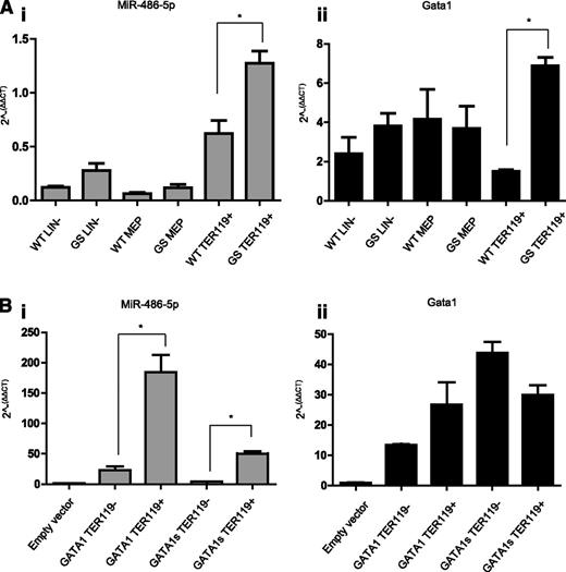 Figure 3. miR-486-5p expression in the erythroid lin. (A) qRT-PCR analysis of miR-486-5p expression (i) and Gata1 (or Gata1s) expression in different BM cells populations separated by sorting. LIN− = lineage negative cells; MEP = megakaryocytic-erythroid progenitors (Sca1−, c-Kit+, FcRg−, and CD34−); Ter119+ = erythroid cells (Lin+, Ter 119+, and CD41−). Cells from Gata1s KI mice (GS) were compared with cells from Gata1 WT mice (n = 3). *P < .01 (2-tailed Student t test). miR-486-5p expression in megakaryocytic cells (CD41+ and Ter119−) was barely detectable and hence not shown. (B) qRT-PCR analysis of miR-486-5p (i) expression in G1ME cells overexpressing either Gata1s or Gata1. The level of Gata1 isoforms expression is depicted in panel Bii. Cells were grown for 3 days in megakaryocytic-erythroid differentiation medium (containing SCF, TPO, and EPO) and then sorted into TER119+ and TER119− cells. *P < .05 (2-tailed Student t test).