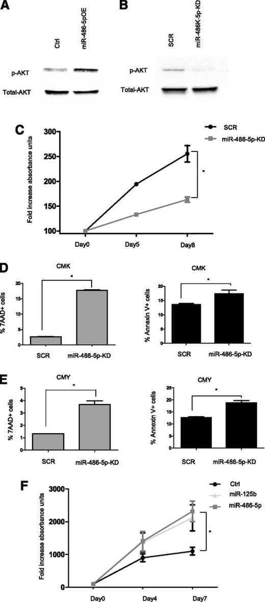 Figure 5. mir-486-5p enhances survival of ML-DS cells. (A-B) Western blot analysis of p-AKT levels (A) in CMS cells overexpressing miR-486-5p compared with empty vector (Ctrl) (B) in CMK cells after miR-486-5p KD compared with SCR. (C) MTT assay in CMK cells after miR-486-5p KD compared with SCR. *P < .01 (2-tailed Student t test). (D-E) FACS analysis of 7AAD and Annexin V positive cells in CMK (D) and CMY cells (E) after miR-486-5p KD compared with SCR. (F) MTT assay in CMS cells overexpressing miR-486-5p and miR-125b (positive control for growth-promoting miR18) or empty vector (Ctrl). *P < .05 (2-tailed Student t test) for each miR. SCR, scrambled.