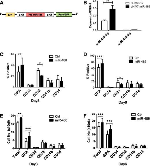 Figure 2. miR-486-5p overexpression enhances the growth and erythroid differentiation of CB CD34+ cells. (A) The EF1-miR-486 expression cassette was cloned into lentivirus vector pHIV7-EGFP. (B) miR-486-5p and miR-486-3p expression in CB CD34+ cells transduced with pHIV7-EF1-miR-486 and control vector was determined by qRT-PCR. (C-F) miR-486-5p and control vector–transduced cells (Ctrl) (n = 5) were cultured in GEMM medium and GPA, CD34, CD33, CD11b, and CD14 expression analyzed by flow cytometry. The percentage of cells expressing these marker at day 3 (C) and day 6 (D) and the total number of cells expressing these markers at day 3 (E) and day 6 (F) are shown. Cumulative results represent the mean ± SEM. *P < .05, **P < .01, ***P < .001.