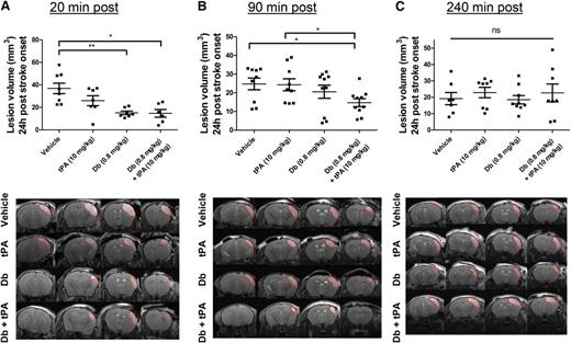 Figure 3. Evaluation of the thrombolytic efficacy of the diabody on fibrin-rich clots in a model of thrombin-induced MCAo. Lesion volume at 24 hours postocclusion (top) and representative T2-weighted images at 24 hours postocclusion (bottom) of mice treated with vehicle, tPA (10 mg/kg), diabody (0.8 mg/kg), or a combination of diabody (0.8 mg/kg) and tPA (10 mg/kg) at 20 minutes postocclusion (n = 6-8) (A); at 90 minutes postocclusion (n = 9-10) (B); and at 240 minutes postocclusion (n = 7-9) (C). Dotted red lines delineate stroke lesions. Data are represented as mean ± SEM. *P < .05; **P < .01. ns, not significant.