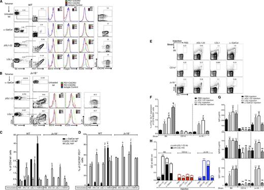 Figure 4. βGL1-22/LGL1–specific type II murine NKT cells display NKTFH phenotype and provide B-cell help with the induction of GC B cells and IgG and lipid-reactive antibodies in C57BL/6 and Jα18−/− mice. (A-B) Spleen cells from WT (A, C57BL/6) mice or (B, Jα18−/− mice) obtained 7 days after immunization with α-GalCer, βGL1-22, LGL1, or vehicle alone were stained to assess CXCR5, PD-1, ICOS, Bcl-6, and IL-21 expression among CD4+ tetrameter-positive NKT cells. Numbers in plots indicate percentage of the cells included in the gates. The histogram on the right shows differences in Bcl-6, Foxp3, and ICOS expression as reflected by MFI between follicular helper (PD-1+CXCR5+) T cells and nonfollicular helper (PD-1−CXCR5−) cells (top) as control. Panel on extreme right shows staining for IL-21. Data for MFI on isotype controls are on pooled cells. (C-D) Percentages of CD4+ CD1d tetrameter-positive cells (C) and CXCR5hi PD-1hi NKT-TFH cells (D) in spleens of WT and Jα18−/− mice after immunizations with vehicle or α-GalCer, βGL1-22, or LGL1. The results represent 1 of 3 comparable experiments, each performed with at least 3 mice per group is shown. § represents comparison of α-GalCer tetrameter-positive cells between WT mice injected with vehicle and βGL1-22 (P < .0001); ∞ represents comparison of βGL1-22 tetrameter-positive cells between vehicle and βGL1-22 immunized mice (WT and Jα18−/−); # represents comparison of LGL1 tetrameter-positive cells between vehicle and LGL1-immunized mice (WT and Jα18−/−); ¶ represents comparison of α-GalCer tetrameter-positive cells between WT mice injected with vehicle and α-GalCer. ***P < .0001; **P < .001; *P < .01. (E) Representative contour plots showing the percentage of FAS+GL-7+ GC B cells among total B cells (CD19+B220+) in WT, CD1d−/−, and Jα18−/− mice splenocytes 7 days after α-GalCer, βGL1-22, or LGL1 immunization. (F) Complied results showing the frequency of GC B cells in WT, CD1d−/−, and Jα18−/− mice splenocytes 7 days after α-GalCer, βGL1-22, or LGL1 immunization. Data are presented as mean ≥ SEM (n = 6). (G) Serum from WT, CD1d−/−, and Jα18−/− mice immunized with α-GalCer, βGL1-22, or LGL1 was collected, and total immunoglobulin of the indicated isotypes and IgM were measured by ELISA. Data are presented as mean ± SEM (n = 4). (H) Stacked bar graph showing the presence of anti- βGL1-22 or LGL1 antibodies in the sera of WT, CD1d−/−, and Jα18−/− mice immunized with α-GalCer, βGL1-22, or LGL1. ***P < .0001; **P < .001; *P < .01. ns, nonsignificant; PBS, phosphate-buffered saline.