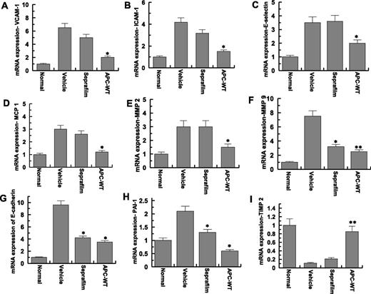 Figure 3. Analysis of mRNA expression of peritoneal tissues. Real-time quantitative polymerase chain reaction was used to analyze the mRNA expression levels in peritoneal adhesion bands of normal (no surgery), saline-treated (vehicle), Seprafilm-treated, and APC-WT-treated mice: (A), vascular cell adhesion molecule-1; (B), intercellular adhesion molecule-1; (C), E-selectin; (D), monocyte chemotactic protein-1; (E), matrix metalloproteinas-2; (F), matrix metalloproteinas-9; (G), E-cadherin; (H), PAI-1; (I), TIMP-2. ICAM-1, intercellular adhesion molecule-1; MCP 1, monocyte chemotactic protein-1; MMP 2, matrix metalloproteinase-2; MMP 9, matrix metalloproteinase-9; VCAM-1, vascular cell adhesion molecule-1. Data are shown as mean ± SD, n = 5. *P < .05 and **P < .01 compared with saline-treated vehicle.