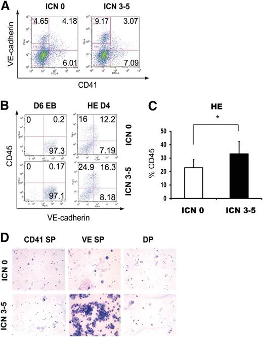 Figure 2. ICN1 induction promotes VE-cadherin+ hemogenic endothelial cell specification. (A) Flow cytometric analysis of day 6 iICN1 EBs with (ICN 3-5) or without (ICN 0) Dox induction (0.5 μg/mL) from days 3 to 5 is shown. (B) CD45− VE SP cells were sorted from day 6 iICN1 EBs with (ICN 3-5) or without (ICN 0) Dox induction (0.5 μg/mL) from days 3 to 5, and the same number of sorted cells was subjected to HE culture. Flow cytometric analysis of day 4 HE culture is shown. (C) The cumulative average of CD45+ cells of days 2, 4, and 6 HE culture is shown. n = 3; *P < .05 by Student t test in comparison with noninduced control. (D) Cytospins of day 10 HE culture of CD45− CD41 SP, VE SP, and DP cells from day 6 iICN1 EBs with (ICN 3-5) or without (ICN 0) Dox induction (0.5 μg/mL) from days 3 to 5 are shown. ICN1 was not induced in HE culture. Representatives of 3 independent experiments are shown.