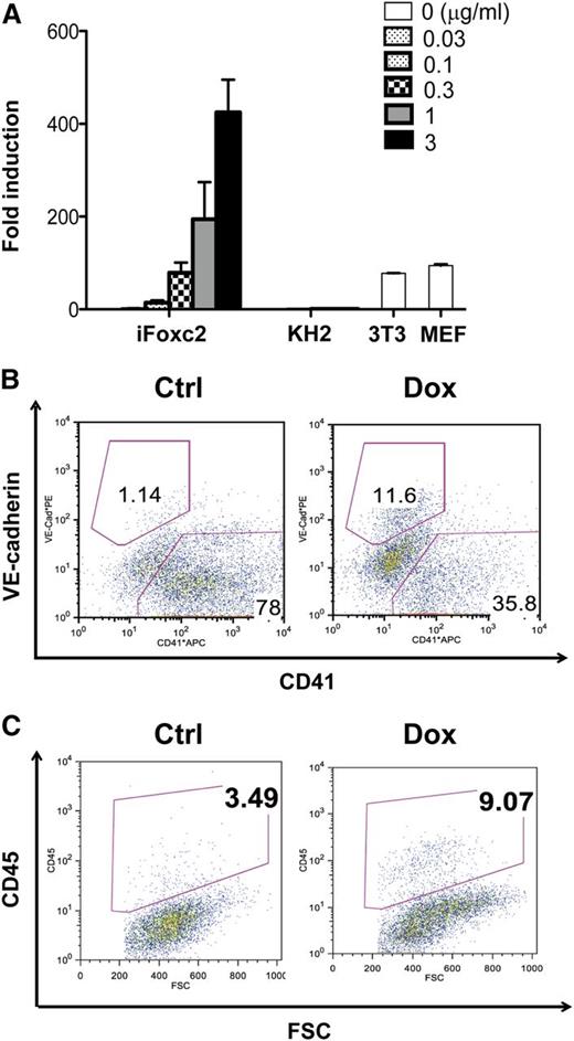 Figure 6. Foxc2 induction during EB differentiation increases VE-cadherin+CD41− population and enhances CD45+ cell generation from VE-cadherin+CD41− cells. (A) Real-time RT-PCR analysis for Foxc2 expression in iFoxc2 cells 48 hours after Dox induction in comparison with KH2, 3T3, and MEF cells is shown. (B) Flow cytometric analysis of day 6 iFoxc2 EBs with or without Dox induction (0.5 μg/mL) from days 3 to 5 is shown. (C) VE-cadherin+CD41− cells were sorted from day 6 iFoxc2 EBs with or without Dox induction (0.5 μg/mL) from days 3 to 5, and the same number of VE-cadherin+CD41− cells was subjected to HE culture. Flow cytometric analysis of day 4 HE culture is shown. Foxc2 was not induced in HE culture. The absolute numbers of CD45+ cells are summarized in supplemental Table 1.