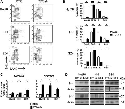 Figure 6. TOX suppression leads to cell cycle arrest and elevated cell cycle repressors. (A) FACS analysis of cell proliferation by BrdU incorporation in TOX-sh Hut78, HH, and SZ4 cells compared to control (CTR) cells. For BrdU incorporation assay, transduced Hut78 cells were pulsed with 10 μM BrdU for 45 minutes, whereas transduced HH and SZ4 cells were pulsed for 2 hours. (B) Cell cycle distribution in TOX-sh cells compared to CTR cells. (C) CDKN1B and CDKN1C transcript levels in TOX-sh and CTR. qRT-PCR was performed using primers specific for CDKN1B, CDKN1C, and GAPDH mRNA. The level of CDKN1B and CDKN1C mRNA was normalized to that of GAPDH and is depicted as the fold change compared to CTR cells. *P < .05, **P < .01, and ***P < .001 by 2-tailed Student t test with Welch correction. Error bars indicate standard error of the mean. Data depicted are representative of at least 3 independent experiments. (D) p27 and p57 protein levels in TOX-sh and CTR cells.