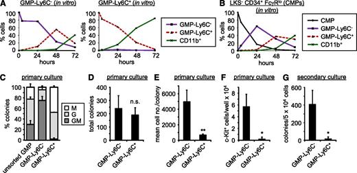 Figure 2. GMP-Ly6C+ cells are the lineage-committed progeny (MPs and GPs) of oligopotent GMP-Ly6C− cells (GMPs). (A-B) Ten thousand GMP-Ly6C− or GMP-Ly6C+ cells per well (A) or 10 000 LKS−CD34+FcγRlo CMPs per well (B) were cultured in liquid media containing 10 ng/mL IL-3 and 20 ng/mL IL-6, and cultures were analyzed by flow cytometry at the indicated time points to monitor for the presence of CMPs, GMP-Ly6C−, GMP-Ly6C+, and CD11b+ cells (see supplemental Figure 5 for gating strategy). Data presented are from 1 experiment that is representative of at least 3 independent experiments. (C-G) Methylcellulose cultures were performed using MethoCult GFM3434 (StemCell Technologies). For primary cultures (C-F), unsorted GMPs (LKS−CD34+FcγRhi cells), GMP-Ly6C−, and GMP-Ly6C+ cells were isolated from mouse bone marrow and 1000 cells per well were plated in methylcellulose media. (C-D) Colonies were counted and identified 7 days later: GM, mixed granulocyte/monocyte; G, pure granulocyte; M, pure monocyte colonies. Data are presented as mean plus standard deviation of triplicate culture and are representative of 3 independent experiments. (E-F) All cells were harvested from the 7-day primary cultures, colonies were dissociated, and cells were counted to permit assessment of average colony size (total harvested cells per number of colonies) (E); c-Kit+ cells among the progeny were identified by flow cytometry (F). Data are presented as mean plus standard deviation of 3 independent experiments. (G) The progeny of 7-day primary cultures were plated in fresh methylcellulose (50 000 cells per well) for secondary culture, and colonies were counted after a further 7 days of culture. Data are presented as mean plus standard deviation of 3 independent experiments. Statistical significance was assessed by the Student t test (*P < .05, **P < .01). n.s., not significant.