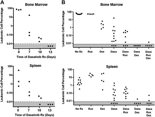 Figure 3. Acute response of leukemic mice to drug treatment. (A) Dasatinib treatment rapidly reduces leukemia burden. Twelve mice injected intravenously with 2 × 105 LICs were allowed to develop leukemia over a 10-day period. Mice with equal leukemia burdens were randomized into groups of 3 mice, the first of which was left untreated and euthanized when moribund (time 0). Other groups were treated twice a day with dasatinib (10 mg/kg body weight) for 7, 10, or 13 days and euthanized immediately after the indicated times of treatment. Additional treated cohorts were allowed to undergo clinical relapse after dasatinib withdrawal at day 13 and were moribund by day 22 (see the “Effects of dasatinib, ruxolitinib, and dexamethasone during induction therapy” section). Bone marrow cells (top) and splenocytes (bottom) were harvested for TaqMan qPCR analysis performed with primers directed to the vector-containing Luc2 gene. The fraction of leukemic cells was interpolated from a standard curve created by mixing cultured BCR-ABL+, Arf−/− LICs with nucleated cells from BM or spleen at defined ratios (supplemental Figure 1). (B) Dexamethasone (Dex), but not ruxolitinib, reduces leukemic burden during 7-day induction therapy. Mice that received LICs and developed leukemia as in panel A were treated with the indicated drug combinations and euthanized. Because monotherapy with dasatinib for 13 days reduces the frequency of leukemic cells below the limit of detectability (panel A), a 7-day treatment period was chosen to allow any additional effects of ruxolitinib and dexamethasone to be recorded. Leukemia burden in BM (top) and spleen (bottom) was estimated by qPCR (TaqMan) as in panel A. Ruxolitinib treatment alone or in combination with dasatinib had no significant activity in acutely reducing the leukemic burden, whereas dexamethasone potentiated remission induction.