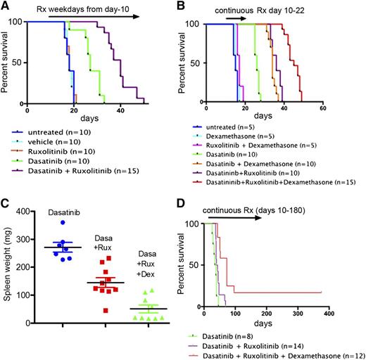 Figure 4. Ruxolitinib and dexamethasone each prolong remission in dasatinib-treated mice. All mice were infused intravenously with 2 × 105 LICs. Mice that were left untreated or received drugs 10 days later were followed until they became moribund. (A) Mice treated for 5 days per week once per day by oral gavage with ruxolitinib alone (60 mg/kg body weight) exhibited no survival advantage compared with untreated or vehicle-treated mice, whereas mice receiving ruxolitinib plus dasatinib (10 mg/kg body weight) on the same dosing schedule showed a significant survival advantage over animals receiving dasatinib monotherapy (P < .001). (B) Mice were treated continuously for 13 days with the indicated drug combinations, after which therapy was discontinued. Dasatinib (10 mg/kg) was administered twice per day (unlike the once per day regimen in panel A) and ruxolitinib (60 mg/kg) administered once per day, each by oral gavage. Dexamethasone was added, as indicated, to the drinking water. The time to treatment failure (abscissa) reflects the level of MRD at the end of day 22. TaqMan PCR performed at necropsy on 4 animals that relapsed after combined treatment with dasatinib and ruxolitinib showed significant leukemic infiltration in their BM (11%, 31%, 31%, and 41%) and spleen (24%, 42%, 66%, and 79%), respectively. (C) Spleen weights were determined for mice euthanized after relapse in the trial shown in panel B. Despite the presence of normal spleen weights in mice that received the 3-drug combination, animals nonetheless died of leukemia after the limited 13-day drug exposure. (D) Mice were treated continuously twice daily with dasatinib alone (10 mg/kg) or together with ruxolitinib (60 mg/kg) with or without dexamethasone as indicated. Therapy in the group receiving the 3-drug combination was terminated after 6 months; surviving animals were observed for signs of disease and subjected to intermittent bioluminescence imaging for an additional 200 days. Significance for pairwise comparisons (not including 2 surviving mice) is dasatinib alone vs dasatinib plus ruxolitinib (P = .029); dasatinib plus ruxolitinib vs dasatinib plus ruxolitinib plus dexamethasone (P < .0002); dasatinib alone vs dasatinib plus ruxolitinib plus dexamethasone (P < .0001).