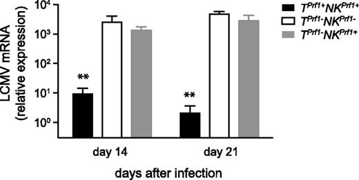 Figure 3. Defective control of LCMV infection in NK cytotoxic-deficient mice. Rag2−/− Il2rg−/− and Rag2−/− mice were reconstituted with BM from Prf1−/− and control B6 donors. TPrf1−NKPrf1− (open bars), TPrf1−NKPrf1+ (gray bars), and TPrf1+NKPrf1+ mice (black bars) were infected with 200 PFU of LCMV-WE. A total of 14 days after infection, LCMV titers in the liver were determined. Data (mean ± SEM) are representative of 3 independent experiments. Statistical analysis was performed using Student t test. **P < .01.