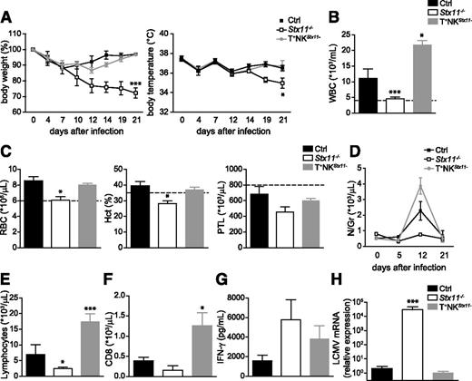Figure 5. Defects of NK cytotoxic activity are not sufficient to induce HLH-like development in mice. Stx11−/− (open bars/open squares), T+NKStx11− (gray bars/gray circles), and control (black bars/black squares) mice were infected with 200 PFU of LCMV-WE. Clinical and biochemical parameters were determined after infection. (A) Body weight and body temperature. (B) White blood cell counts were analyzed on day 12 postinfection. (C) Red blood cell, hematocrit, and platelets counts on day 12 postinfection. (D) The time course of neutrophils counts. (E) Lymphocytes counts were analyzed on day 12 postinfection. (F) Absolute numbers of CD8 lymphocytes in blood on day 12 postinfection. (G) Serum IFN-γ on day 8 postinfection. (H) LCMV titers in liver on day 21-postinfection. Data (mean ± SEM) are representative of 2 independent experiments with at least 3 mice in each group. Dotted lines represent minimal normal values for control mice. Statistical analysis was performed using 1-way ANOVA or Student t test. *P < .05; ***P < .001.