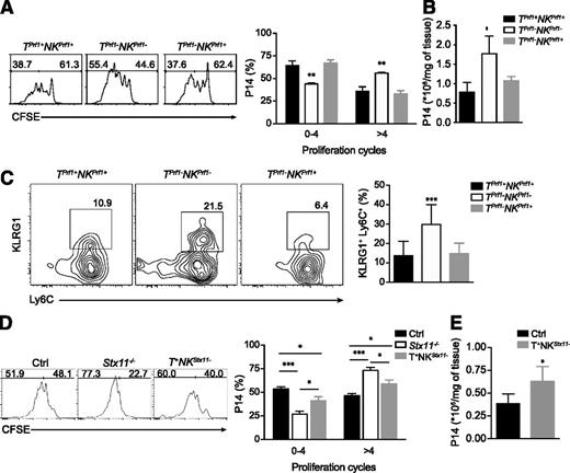 Figure 6. NK cytotoxic activity controls T-cell activation. (A) Rag2−/− Il2rg−/− and Rag2−/− mice were reconstituted with BM from Prf1−/− and control B6 donors. After 8 weeks, reconstituted mice were adoptively transferred with 1 × 106 CFSE labeled perforin-sufficient or perforin-deficient P14 cells. The day after, mice were infected with 200 PFU of LCMV-WE. The figure shows representative histograms of CFSE staining in P14 cells 3 days after infection transferred into TPrf1+NKPrf1+ (left panel/black bars), TPrf1−NKPrf1− (middle panel/open bars) and TPrf1−NKPrf1+ (right panel/gray bars). Graph represents the mean ± SEM values from 2 independent experiments with 3 mice in each group. (B) Absolute numbers of P14 cells per spleen 3 days after infection. Data (mean ± SEM) are representative of 2 independent experiments with 3 mice in each group. (C) TPrf1−NKPrf1− (open bars/middle panel), TPrf1−NKPrf1+ (gray bars/right panel), and TPrf1+NKPrf1+ mice (black bars/left panel) were infected with 200 PFU of LCMV-WE. The figure shows representative FACS analysis of blood MNC gated on CD8+. Graph represents the quantification of KLRG1+ Ly6C+ CD8+ cells from blood on day 8 postinfection. Data (mean ± SEM) are representative of 3 to 4 independent experiments. (D) Control (left panel/black bars), Stx11−/− (middle panel/open bars), and T+NKStx11− (right panel/gray bars) mice were adoptively transferred with 1 × 106 CFSE-labeled perforin-sufficient or perforin-deficient P14 cells. The day after, mice were infected with 200 PFU of LCMV-WE. The figure shows representative histograms of CFSE staining in P14 cells 3 days after infection and the percentages of cells dividing between 0 and 4 times and more than 4 times. Graph represents the mean ± SEM values from 2 independent experiments with 3 mice in each group. (E) Absolute numbers of P14 cells per spleen 3 days after infection in control (black bars) and T+NKStx11− (gray bars) mice. Data (mean ± SEM) are representative of 2 independent experiments with 3 mice in each group. Statistical analysis was performed using 1-way ANOVA or Student t-test. *P < .05; **P < .01; ***P < .001.
