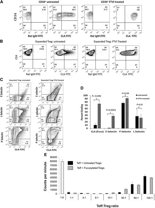Figure 1. FTVI treatment increases Treg fucosylation. Fucosylation is characterized by the presence of sLeX residues, as assessed by flow cytometry, with antibody HECA-452 (BD Biosciences, San Jose, CA), raised against CLA, shown to be sLeX30. The left side of each contour plot shows the isotype control, and the right side the results of staining (percentage CLA-positive cells). (A) Positive control. CB CD34+ cells show an endogenous rate of 56.5% CLA+ cells that increases to 100% on treatment with FTVI enzyme. (B) Expanded Tregs. Untreated ex vivo-expanded Tregs show minimal endogenous fucosylation of 6.6% that increases to 65.5% on treatment with FTVI. (C) Fucosylation of Tregs leads to increased ability to bind E-selectin ligand. Expanded Tregs were treated with FTVI enzyme for 30 minutes, followed by biotin CLA–streptavidin phycoerythrin. Unlabeled selectins (E, P, L) with APC anti-Fc were used to study selectin binding ability in untreated Tregs (left) or fucosylated Tregs (right). Significant increase in the binding ability of fucosylated Tregs to E-selectin ligand was demonstrated (41% vs 2%) (upper). A high level of endogenous expression of P-selectin ligand was seen in untreated Tregs (81.7%) that increased on fucosylation (92.9%) (lower). No change was seen in the total L-selectin ligand expression (middle). (D) Increased E-selectin binding in fucosylated Tregs. Average values from 3 independent experiments show that the extent of fucosylation is related to the binding ability of E-, P-, or L- selectin. (E) Fucosylated Tregs suppress immune response in alloMLR similar to untreated Tregs. No differences in the degree of suppression of alloMLR was identified at the varying ratio of T-effector (Teff) and Treg (untreated or fucosylated). The x-axis denotes the varying ratio of Teff:Treg. Y-axis denotes counts per minute (mean ± SEM; n = 3).