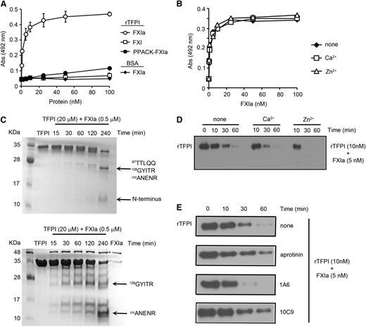 Figure 1. Characterization of the interaction between FXIa and rTFPI. (A) Ninety-six-well plates were coated with 5 µg/mL rTFPI or BSA (♦), and increasing concentrations of FXI (◱), FXIa (○,♦), or PPACK-FXIa (●) were added to selected wells. Binding was detected with a specific antibody against FXI. (B) Ninety-six-well plates were coated with 5 µg/mL rTFPI and increasing concentrations of FXIa in the absence (♦) or presence of 25 µM Zn2+ (△) or 1 mM Ca2+ (◱). Binding was detected with a specific antibody against FXI. (C) rTFPI (10 µg) was incubated with FXIa (500 nM) for selected times at 37°C before being separated by sodium dodecyl sulfate-polyacrylamide gel electrophoresis under nonreducing (upper) or reducing (lower) conditions and analyzed by Coomassie blue staining. Protein bands were subjected to aminoterminal sequencing, using an automated Edman sequencer. Numbers refer to position of amino acid in full-length TFPI protein. (D) rTFPI (10 nM) was incubated with 5 nM FXIa for 10, 30, or 60 minutes in the presence or absence of 25 µM Zn2+ or 1 mM Ca2+. rTFPI was analyzed by western blotting with a polyclonal anti-TFPI antibody. (E) rTFPI (10 nM) was incubated with 5 nM FXIa for 10, 30, or 60 minutes in the presence or absence of 1A6 (20 µg/mL), 10C9 (50 µg/mL), or aprotinin (50 µM). rTFPI was analyzed by western blotting with a polyclonal anti-TFPI antibody.
