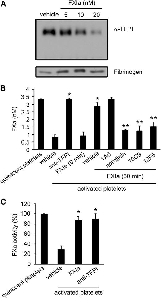 Figure 3. FXIa inhibits the anticoagulant role of platelet TFPI. (A) Supernatant from activated platelets (2.5 × 108) was incubated with increasing concentrations of FXIa for 1 hour. The extent of TFPI present in the supernatant was analyzed by western blotting with a polyclonal anti-TFPI antibody, with levels of fibrinogen serving as a loading control. (B) FXa generation after initiation with tissue factor was determined in the absence or presence of supernatant from activated platelets. In selected experiments, platelet supernatant (3 × 107) was pretreated with 5 nM FXIa for 60 minutes in the presence of 1A6 (20 µg/mL), 10C9 (50 µg/mL), 12F5 (50 µg/mL), or aprotinin (50 µM). In separate experiments, platelet supernatant was incubated with blocking anti-TFPI K1 and K2 antibodies (10 µg/mL) ,or 5 nM FXIa was added immediately before assaying FXa generation (0 minutes). Aprotinin (50 µM) was added to stop the reaction. *P < .05 with respect to vehicle in the presence of supernatant from activated platelets. **P < .05 with respect to vehicle in the presence of supernatant from activated platelets and FXIa. (C) FXa activity was determined in the presence of supernatant from quiescent or activated platelets pretreated with or without 5 nM FXIa or blocking anti-TFPI K1 and K2 antibodies (10 µg/mL). After 1 hour of incubation with FXIa, aprotinin (50 µM) was added to stop the reaction. Data are mean ± standard error (n = 3). *P < .05 with respect to vehicle in the presence of supernatant from activated platelets. Mann-Whitney U test was used for statistical comparisons.
