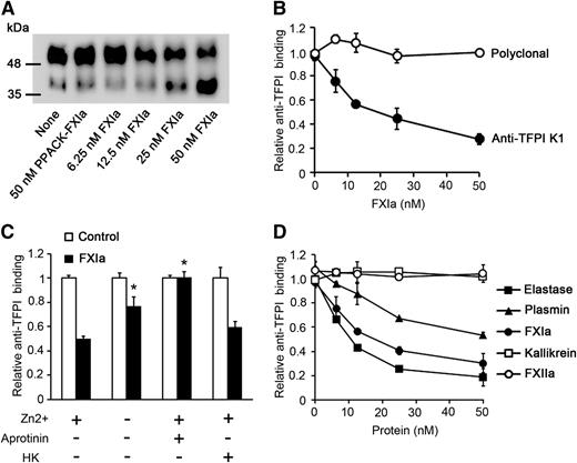 Figure 5. FXIa cleaves the K1 domain of TFPI on endothelial cells. (A) HUVECs were pretreated with increasing concentrations of FXIa for 2 hours. Cell lysates were used for western blotting with a polyclonal anti-TFPI antibody under nonreducing conditions. (B) HUVECs were pretreated with increasing concentrations of FXIa for 2 hours, followed by cell surface detection of TFPI, using an anti-TFPI K1 antibody (●) or a polyclonal anti-TFPI antibody (○). (C) HUVECs were pretreated with 30 nM FXIa (black bars) or vehicle (white bars) for 2 hours in the presence or absence of 25 µM Zn2+, 50 nM HK, or 50 µM aprotinin, followed by cell surface detection of TFPI, using an anti-TFPI K1 antibody. P < .05 with respect to FXIa in the presence of Zn2+. (D) HUVECs were pretreated with increasing concentrations (0-50 nM) of FXIa (●), elastase (▪), plasmin (▲), kallikrein (◱), or FXIIa (○) for 2 hours, followed by cell surface detection of TFPI, using an anti-TFPI K1 antibody. Data are mean ± standard error (n = 3). Mann-Whitney U test was used for statistical comparisons.