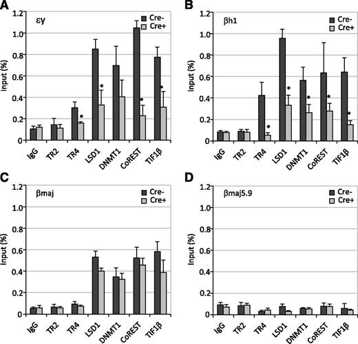 Figure 5. Genetic loss of Tr2/Tr4 abolishes the chromatin occupancy of TR2/TR4 and their cofactors at the DR-binding sites in the embryonic globin gene promoters. The binding of TR2/TR4 and other corepressors to select murine β-like globin gene promoters: εy (A), βh1 (B), and βmaj (C) as well as to an irrelevant control sequence located 5.9 kbp 5′ to the βmaj promoter (D) in infected Lin− cells were analyzed in ChIP experiments. Statistically significant enrichment of the orphan receptors and/or the cofactors at the promoters and control sequence is indicated in comparison with the control IgG values (indicated with asterisks; *P < .05).
