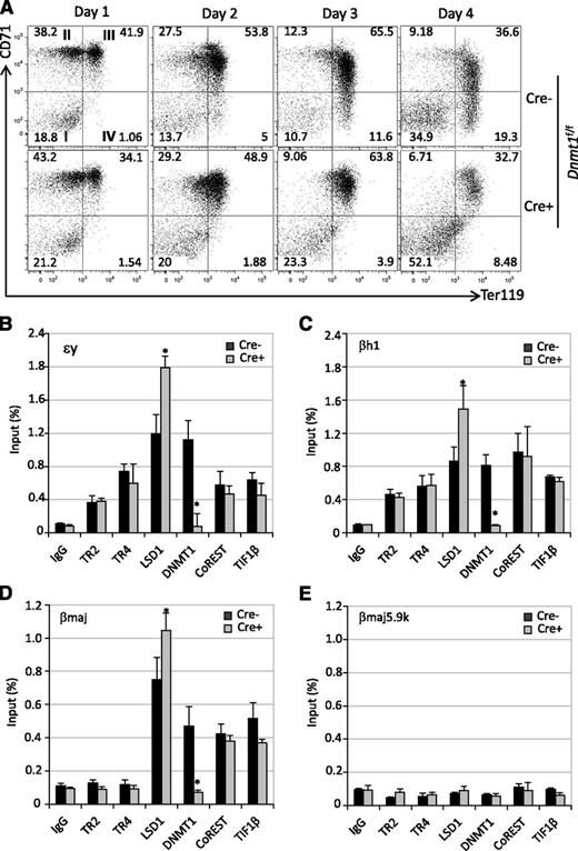 Figure 7. Conditional Dnmt1 ablation alters erythroid differentiation and cofactor chromatin occupancy in globin gene promoters. (A) Flow cytometry following the differentiation of Ad-Cre–infected Lin− cells from Dnmt1f/f mice (see legend to Figure 6A). (B-E) Loss of DNMT1 activity led to enhanced LSD1 chromatin occupancy as detected by ChIP assays in Cre-infected Dnmt1f/f Lin− cells.