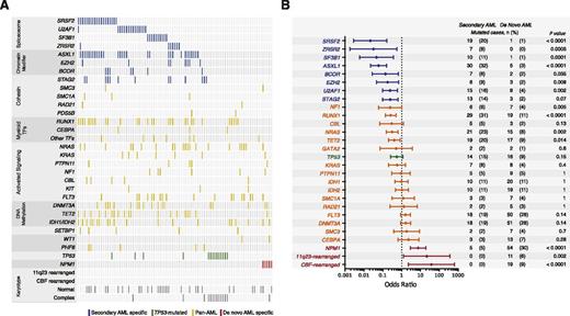 Figure 1. Spectrum and ontogeny specificity of myeloid driver mutations in s-AML. (A) A comutation plot shows nonsynonymous mutations in individual genes, grouped into categories, as labeled on the left. Mutations are depicted by colored bars and each column represents 1 of the 93 sequenced subjects. Colors reflect ontogeny specificity of mutated genes, as described in (B). (B) Shown is the association between individual mutated genes and clinically defined s-AML or de novo AML ontogeny, as depicted by odds ratio on a log10 scale. Colors indicate genes with >95% specificity for s-AML (blue), >95% specificity for de novo AML (red), or <95% specificity for s-AML or de novo AML (yellow or green). The number and frequency cases with mutations in each gene in s-AML and de novo AML cases are shown on the right.