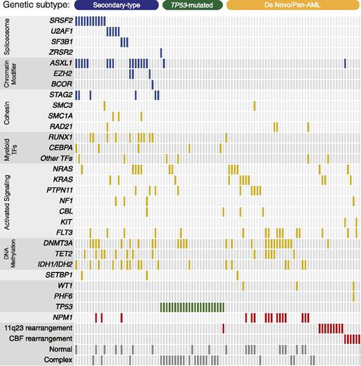 Figure 2. Mutations in therapy-related AML. A comutation plot shows nonsynonymous mutations in individual genes, as labeled on the left. Mutations are depicted by colored bars, and each column represents 1 of the 101 sequenced subjects. Colors reflect ontogeny specificity of mutated genes, as described in Figure 1. Genetic ontogeny groups are labeled on the top.