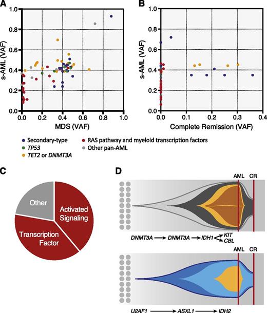 Figure 4. Analysis of serial samples. Scatter plots showing variant allele fractions (VAF) at time of paired samples at (A) MDS and s-AML and (B) diagnosis and morphologic CR. Colors show ontogeny specificity of mutated genes including secondary-type (blue); TP53 (green); and de novo/pan-AML subsets, including RAS pathway and myeloid transcription factors (red), TET2 and DNMT3A (yellow), and other pan-AML (gray). Mutations were categorized as new if they were detected in s-AML but present below 1% allele frequency in MDS (85%), or if their allele frequency increased from ≤10% in MDS to >30% in the subsequent s-AML (15%). Mutations were labeled as selectively lost only if variant allele fraction was <0.5% at remission. (C) Pie chart showing s-AML progression mutations by functional class. (D) Representative fish plots from 2 cases with subclonal remissions showing clonal architecture at diagnosis (indicated by a red line—AML) and after treatment at time of morphologic CR (indicated by a red line—CR). In both cases, clonal remission is characterized by disappearance of progression mutations and relative persistence of founder mutations despite the absence of bone marrow myeloblasts.