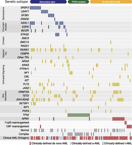Figure 5. Mutations in an unselected cohort of AML patients. A comutation plot shows nonsynonymous mutations in individual genes, grouped into categories, as labeled on the left. Mutations are depicted by colored bars, and each column represents 1 of the 105 sequenced subjects. Colors reflect ontogeny specificity of mutated genes, as described in Figure 1.
