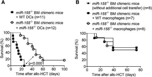 Figure 2. MiR-155 deficiency in adoptively transferred recipient-type DCs is connected to lower GVHD severity. (A) Lethally irradiated WT C57BL/6 mice were transplanted with 5 × 106 BM cells from a syngeneic miR-155−/− C57BL/6 donor. After 30 days, the miR-155−/− BM chimeric mice were irradiated with 5 Gy and injected with 5 × 106 BM cells and 8 × 105 CD4+/CD8+ T cells from an allogeneic BALB/c donor. Groups additionally received 2 × 106 WT or miR-155−/− C57BL/6 BM-derived DCs on the day of allo-HCT. Survival data were pooled from 2 independent experiments (n = 11-12/group). (B) Lethally irradiated WT C57BL/6 mice were transplanted with 5 × 106 BM cells from a syngeneic miR-155−/− C57BL/6 donor. After 30 days, the miR-155−/− BM chimeric mice were irradiated with 5 Gy and injected with 5 × 106 BM cells and 8 × 105 CD4+/CD8+ T cells from an allogeneic BALB/c donor. Groups additionally received 2 × 106 WT or miR-155−/− C57BL/6 BM-derived macrophages on the day of allo-HCT (n = 7-8/group).