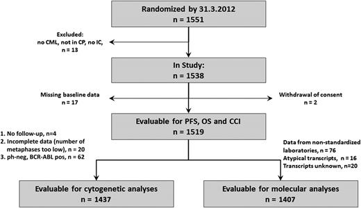 Figure 1. Flowchart of patient disposition.