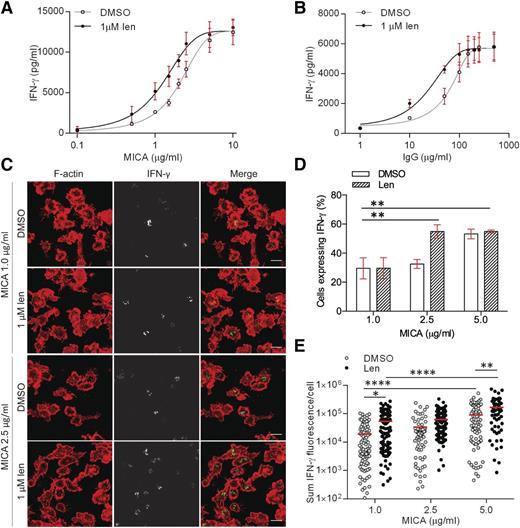 Figure 3. Lenalidomide lowers the threshold for NK-cell activation through NKG2D and CD16. (A-B) pNK cells were treated with DMSO or 1.0 µM lenalidomide (+150 U/mL IL-2) for 24 hours in wells coated with (A) 0.1 to 10 µg/mL MICA plus 2.5 µg/mL ICAM-1 or (B) 1 to 500 µg/mL human IgG. IFN-γ release was measured by ELISA. Data show mean ± SD from 3 donors. Nonlinear regression fit was applied to data. EC50 values were calculated to be: 2.1 µg/mL (MICA DMSO), 1.3 µg/mL (MICA 1.0µM Len), 62 µg/mL (hIgG DMSO), 21 µg/mL (hIgG 1.0µM Len). (C) Representative microscopy images of F-actin (red) and IFN-γ (shown in grayscale in middle column, and then green in merged image) in pNK cells stimulated for 90 minutes on surfaces coated with 1 µg/mL or 2.5 µg/mL MICA (+2.5 µg/mL ICAM-1) in the presence of DMSO or 1.0 µM lenalidomide (+150 U/mL IL-2). Scale bars, 10 µm. (D) The proportion of pNK cells expressing IFN-γ after stimulation with 3 different concentrations of MICA. Graph shows mean ± SD, n > 100 per donor from 3 donors. (E) Sum fluorescence staining for IFN-γ per cell in the same cells as in panel D. Each data point represents a single cell and red line shows the mean. *P < .05, **P < .01, ****P < .0001, 1-way ANOVA with Tukey posttest.