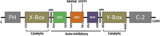 Figure 1. A diagram of the human PLCG2 gene. Depicts encompassed domains of human PLCG2. R665W and S707Y mutations identified in relapse CLL are harbored within the SH2 domain. PH, Pleckstrin homology. C-2, calcium binding motif; SH2, Src homology 2; SH3, Src homology 3; X-box, phosphatidylinositol-specific phospholipase C X domain; Y-box, phosphatidylinositol-specific phospholipase C Y domain.