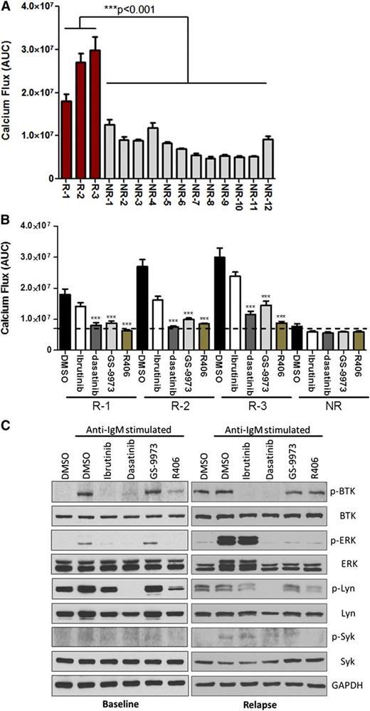 Figure 5. Hyperactive downstream signaling in relapse CLL acquired PLCγ2 variants can be blocked by targeting SYK or LYN. (A) Calcium flux from 3 individual relapse CLL (R) bearing mutated PLCγ2 or 12 nonresistant CLL samples (NR) were measured, and 5E6 cells per well in 96-half well microplates were stimulated with 10 μg/ml α-IgM at 37°C for 15 minutes, and then measured by BD Calcium Assay Kit. The data represent AUC from 7 and 12 replicates in resistant and nonresistant samples, respectively; 1.0 μM ibrutinib was pretreated for 1 hour followed by washout. (B) The data represents calcium release by 3 individual relapse CLL (R) or the mean of 12 nonresistant samples (NR) stimulated with 10 μg/ml α-IgM in the presence of 0.5 μM GS-9973, 2.5 μM R406, or 0.1 μM dasatinib; 1.0 μM ibrutinib was pretreated for 1 hour followed by washout. ***P < .001. (C) The downstream phospho-protein activation was accessed in CLL cells from a single patient (patient #2 in Table 1) in the baseline or relapse setting. The detailed information of the 3 relapsed CLL patient samples analyzed here are listed in Table 1.