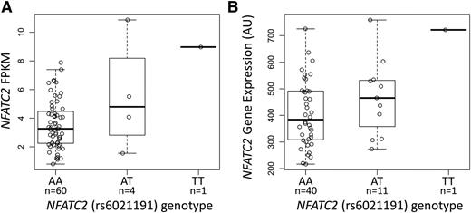 Figure 2. The NFATC2 rs6021191 variant is an eQTL. RNA-seq data were available from the ALL tumor samples of 65 SJCRH patients and from 52 unrelated YRI HapMap samples to investigate the association between rs6021191 and NFATC2 gene expression. We found higher NFATC2 gene expression in samples with the rs6021191 variant compared with samples without the variant in both (A) ALL tumor samples (P = 1.1 × 10−3) and (B) YRI HapMap samples (P = .03). Allele abbreviations are explained in Figure 1.