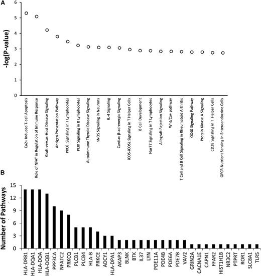 Figure 4. Genes involved in T-cell function may contribute to the risk of developing asparaginase hypersensitivity reactions. IPA was used to determine if genes most associated with asparaginase hypersensitivity were overrepresented in specific biological pathways. A total of 334 genes invoked by 499 SNPs associated with asparaginase hypersensitivity annotated to 234 distinct IPA pathways. (A) The top 20 pathways identified, all with P < 3 × 10−3, were enriched for genes involved in T-cell apoptosis, T-cell signaling, T-cell activation, or T-cell disorders. (B) A total of 33 genes containing SNPs associated with hypersensitivity were included within the top 20 canonical pathways (shown on x-axis). Many of these genes were included in multiple pathways. The number of pathways (out of 20) in which each of these 33 genes is involved is plotted on the y-axis. For example, HLA-DRB1 is involved in 14 out of the 20 top canonical pathways. GPCR, G-protein coupled receptor; nNOS, neuronal NOS; IL, interleukin; iCOS, inducible T-cell costimulator and its ligand, iCOSL.