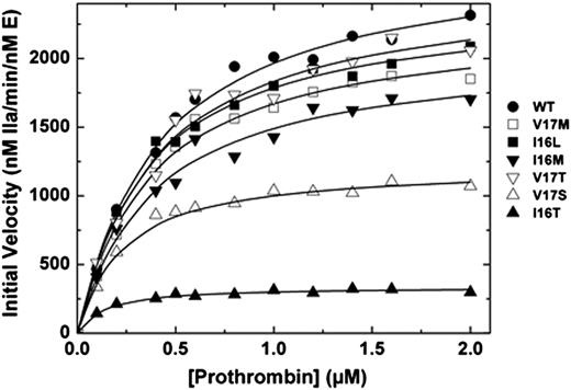 Figure 1. Activation of prothrombin. Reaction mixtures containing increasing concentrations of prothrombin (0.1-2 µM) with 20 µM phosphatidylcholine-phosphatidylserine were incubated at 25°C in the presence of 20 nM FVa. The reaction was initiated with 0.1 or 0.2 nM wt-FXa (●), FXa-V17M (□), FXa-I16L (▪), FXa-I16M (▼), FXa-V17T (▿), FXa-V17S (△) and FXa-I16T (▲). Aliquots of the reaction mixture were quenched during initial rate of the reaction (0, 0.5, 1, 1.5, and 2 minutes), and thrombin generation was determined by using the chromogenic substrate S-2238. The solid lines were drawn following analysis of all data sets to a rectangular hyperbola with the following fitted parameters: wt-FXa: Km = 0.4 ± 0.04 µM, kcat = 2700 ± 75 minutes−1; FXa-V17M: Km = 0.36 ± 0.04 µM, kcat = 2300 ± 70 minutes−1; FXa-I16M and FXa-V17T: Km = 0.38 ± 0.05 µM, kcat = 2000 ± 80 and 2500 ± 120 minutes−1; FXa-V17S: Km = 0.2 ± 0.02 µM, kcat = 1200 ± 30 minutes−1; and FXa-I16T: Km = 0.12 ± 0.02 µM, kcat = 340 ± 7 minutes−1. The data are representative of 2 to 3 similar experiments.