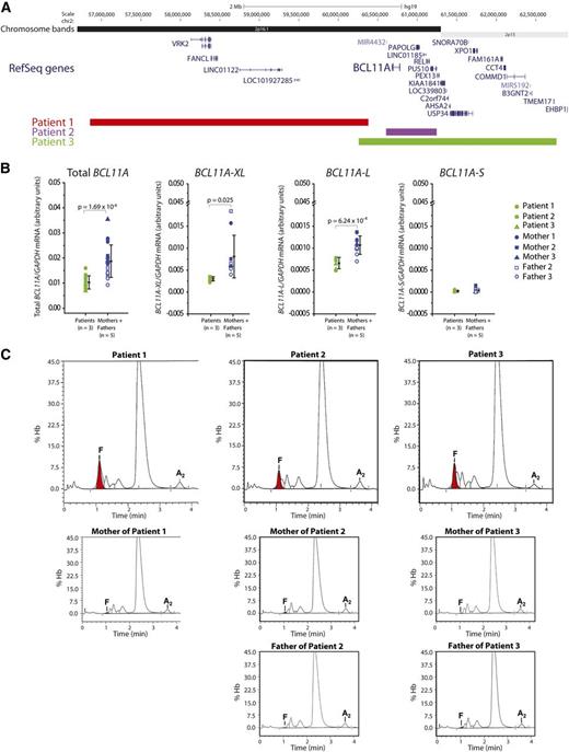 Figure 1. Patients with 2p15-16.1 microdeletions display depleted BCL11A expression in erythroblasts and markedly increased fetal γ-globin in peripheral blood. (A) Schematic of the 2p15-16.1 region showing segments that are deleted in the 3 patients. In addition to BCL11A, the following deleted genes are expressed at 1 or more stages during erythroid maturation:25 VRK2, FANCL, PAPOLG, REL, PUS10, PEX13, KIAA1841, C2orf74, AHSA2, USP34, XPO1, FAM161A, CCT4, COMMD1, and B3GNT2. (B) Real-time reverse transcription-polymerase chain reaction quantification of BCL11A mRNA isoforms in erythroblasts expanded in vivo derived from patients (n = 3) and matched parents (n = 5). Shown are total BCL11A transcripts, isoforms previously implicated in γ-globin repression (BCL11A-XL and BCL11A-L) and short variants (BCL11A-S). All levels have been normalized to GAPDH mRNA. Error bars represent standard deviation and P values signify analysis of variation comparison. (C) HPLC determination of hemoglobin tetramer levels for the 3 patients and their parents. HbF peaks are shown in red. Note that HbA2 (α2δ2) levels are relatively constant across all samples (2.3%, 2.6%, and 1.6% for the patients, and 2.2%, 2.8% and 2.6%, 2.4% and 2.2%, respectively, for the parents).