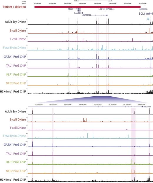 Figure 2. A downstream microdeletion associated with reduced BCL11A expression contains several putative erythroid enhancers. The region deleted in patient 1 is shown in red. Shown are DNase sequencing tracks for adult erythroblasts (derived from peripheral blood CD34+ cells), other hematopoietic cells in which BCL11A is expressed (B cells) or not expressed (T cells), and the developing fetal brain. Sequencing tracks have been emboldened for clarity. Potential erythroid regulatory elements are highlighted with vertical bars and are bound in human pro-erythroblasts by different combinations of noted erythroid transcription factors (GATA1, TAL1, KLF1, and NFE2) as evidenced by chromatin immunoprecipitation (ChIP) sequencing. These regions are also marked by H3K4me1, typically associated with active enhancer elements. Of note, regions highlighted in pink display erythroid DNase hypersensitivity that is not present in the other hematopoietic cells, suggesting that they are erythroid-specific sites. Regions in gray signify DNase-hypersensitive sites at an alternative VRK2 promoter and upstream element, which are present in other tissues. The segment in blue indicates a known erythroid enhancer in BCL11A intron 2, to which SNPs associated with HbF levels are localized.9 A second cluster of high HbF-associated SNPs (marked by an asterisk) lies downstream of BCL11A but outside the deleted region. The fetal brain exhibits widespread DNase hypersensitivity across the deleted region, which might account for the neurological phenotype of this patient.