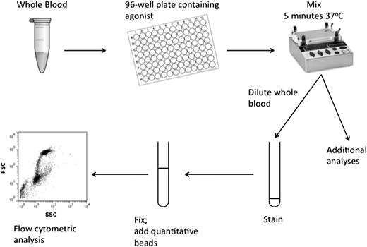 Figure 1. Schematic diagram of methodology. Whole blood is removed from the vena cava of an anesthetized mouse and aliquoted into an agonist containing 96-well plate before mixing at 37°C for 5 minutes. Subsequently, blood is sampled from each well, diluted, and stained using specific antiplatelet antibodies. Quantitative beads are then added before single platelet counts are acquired.