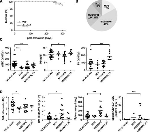 Figure 1. Ezh2Δ/Δ mice developed myelodysplastic disorders. (A) Kaplan-Meier survival curves of WT (n = 24) and Ezh2Δ/Δ (n = 32) mice. These survival curves were generated from 3 independent experiments. (B) A pie graph showing the types of hematologic malignancies observed in Ezh2Δ/Δ mice (n = 32) during a long observation period. (C) PB cell counts in Ezh2Δ/Δ mice 9 to 12 months after the deletion of Ezh2. WBC, Hb, and Plt counts in the PB from WT (n = 24) and Ezh2Δ/Δ MDS (n = 6), MDS/MPN (n = 17), and MDS/MPN_TC (n = 9) mice are plotted as dots and the mean values are indicated as bars. (D) Absolute numbers of total BM cells and LSK cells in a unilateral femur, and spleen weights and numbers of LSK cells in the spleen relative to WT are plotted as dots and mean values are indicated as bars (WT, n = 21; MDS, n = 6; MDS/MPN, n = 16; MDS/MPN_TC, n = 5). Statistical significance of difference was measured by unpaired 2-tailed Student t test or Mann-Whitney test when the variance was judged as significantly different by f test. *P < .05, **P < .01, ***P < .001. Hb, hemoglobin; ND, not determined; Plt, platelet; WBC, white blood cell.