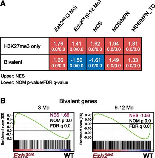 Figure 3. Loss of Ezh2 reprogrammed the transcriptional landscape of HSPCs. (A) Gene expression alterations associated with disease progression. GSEA was performed using the microarray analysis data of WT and Ezh2Δ/Δ LSK cells from early and late time points after the deletion of Ezh2 (3 and 9-12 months, respectively). LSK cells were also collected individually from MDS (10F14 and 11F2), MDS/MPN (11F5), and MDS/MPN_TC mice (10F7) ∼10 months after the deletion of Ezh2. The NES from the gene expression profiles of LSK cells derived from GSEA is shown as a number in each cell. The NOM P value and FDR are shown below NES. Red and blue colors represent positive (upregulated in the given genotype relative to WT) and negative (upregulated in WT relative to the given genotype) enrichment, respectively. (B) Gene set enrichment plots for the bivalent gene set in HSCs in panel A comparing Ezh2Δ/Δ LSK cells to WT LSK cells 3 and 9 to 12 months after the deletion of Ezh2.